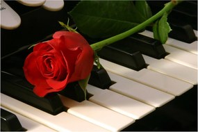 Kép - Zongora és rózsák (90x60 cm)