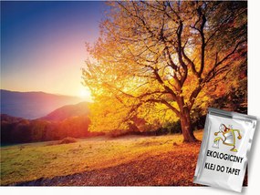 Fotótapéta Flizelina Tájkép Természet Ősz Fa Nap 150x105 ragasztó