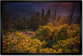 Poszterek keretben 60x40 Kilátás Tájkép