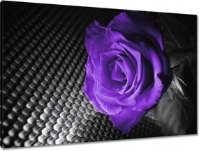 Vászonkép 90x60 Lila rózsa