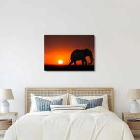 Elefánt képe naplementekor (70x50 cm)