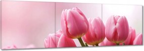 Vászonkép 90x30 Rózsaszín tulipánok