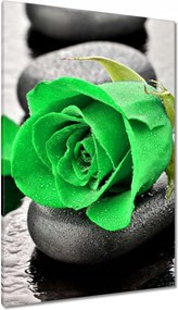 Vászonkép 80x120 Zöld rózsa kövek