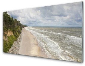 Modern üvegkép Beach Sea Fa Nature 125x50 cm 2 fogas