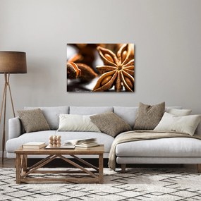 Kép - Anise (70x50 cm)
