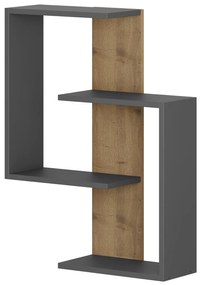 Fali polc Paranoid - Anthracite, Dark Oak