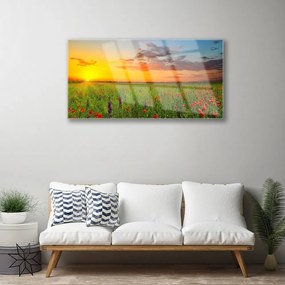Akril üveg kép Sun mezei virágok Természet 100x50 cm