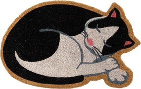Kókuszrost lábtörlő 40x60 cm Cat – Casa Selección