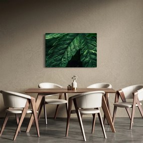Kép - A lap részletei (90x60 cm)