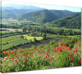 Vászonkép 50x40 Virágos kilátás a hegyekben