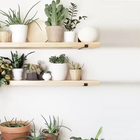 KÉSZLET 2x Fali polc 16x60 cm fenyő