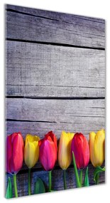 Egyedi üvegkép Színes tulipán osv-103218042