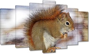 Festmények 140x80 Mókus