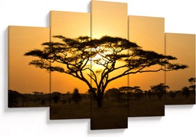 Kép - afrikai szavanna (150x105 cm)