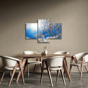 Kép - Cseresznyevirág (90x60 cm)