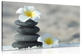Kép harmonikus kövek és virág