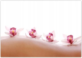 Fotótapéták 312x219 Pihenés a SPA-ban Orchideák