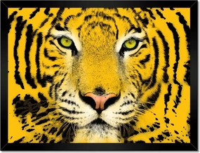 Poszter keretben 40x30 Tigris Tigrisfej