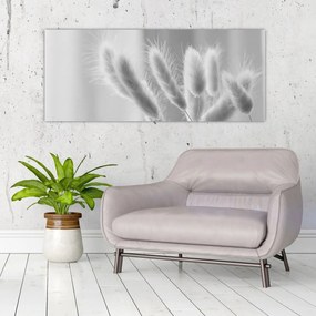 Kép - Nyuszi farok fű (120x50 cm)