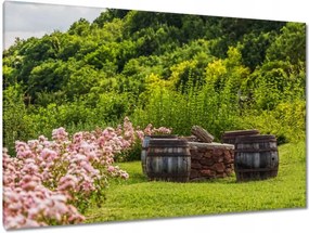 Festmények 120x80 Csodálatos kert