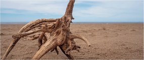 Kép - Áradás a tengeren (120x50 cm)