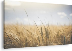 A gabona képe (90x60 cm)