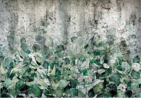 Fotótapéta Levelek Zöld Beton Természet Fali Tapéta 368x254