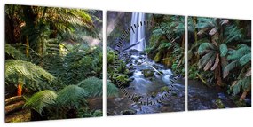 Ausztrál esőerdő képe (órával) (90x30 cm)