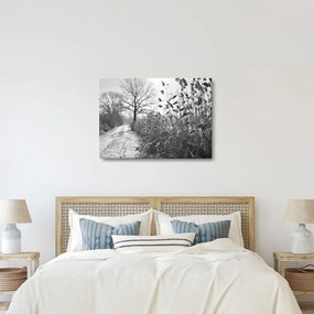 Kép - Mezők télen (70x50 cm)