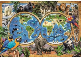Állatvilág Wonderful World 300 db-os puzzle Clementoni