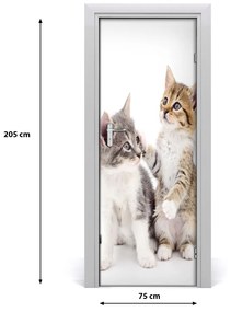Ajtóposzter Két kis macska 85x205 cm