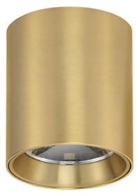 Iris LED mennyezeti spotlámpa