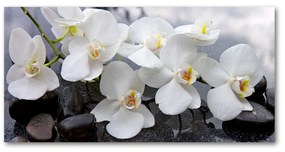 Akrilkép Orchidea oah-143985624