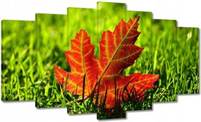 Vászonkép 140x80 Őszi levél a fűben