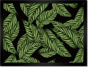 Poszterek keretben 40x30 Zöld levelek Trópusok