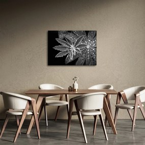 Kép - Cseppek (70x50 cm)