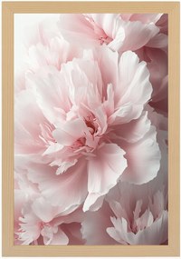 Poszter Keret Fa Természet Virágok Rózsaszín Bazsarózsa Peonie Makró 40x60