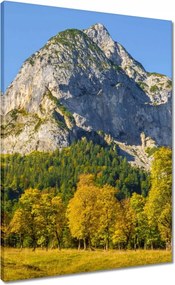 Våszonkép 50x70 Hegyi tåj tiszta égbolttal Fåk a hegyekben