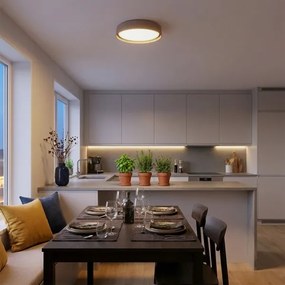 Brilagi - LUCIA LED dimmelhető mennyezeti lámpa LED/48W/230V Ø 41 cm taupe + távirányító