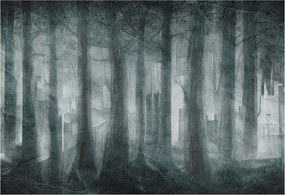 Design fotótapéta Flizelin falra Rejtélyes erdő 152x104 Ragasztó