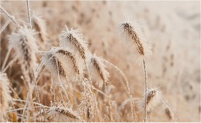 Fotótapéta Flizelin Dekoratív Hálószoba Téli tájkép 416x254 Ragasztó