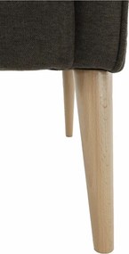 Kényelmes fotel, barna/bükk, BREDLY