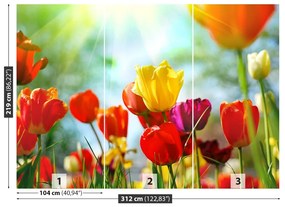 Fotótapéta virágok tulipán 104x70 cm