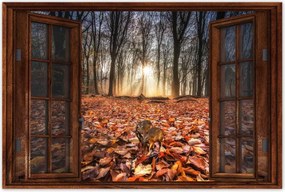 Poszterek 90x60 Kihalás fenyegeti