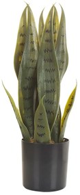 Cserepes Művirág 40 cm SNAKE PLANT Beliani