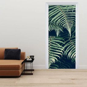 Fotótapéta ajtóra - Páfránylevél (95x205cm)
