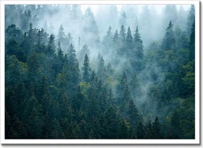 Poszter fehér keretben 70x50 Erdő a ködben Utazás