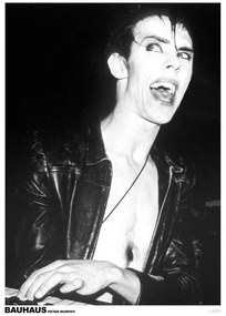 Plakát Peter Murphy of Bauhaus