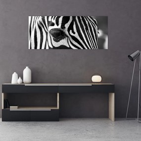 Zebra képe (120x50 cm)