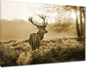 Vászonkép 100x70 Szarvas az erdőben